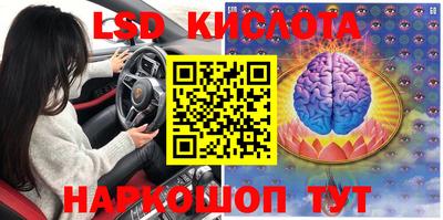 гидра Краснознаменск