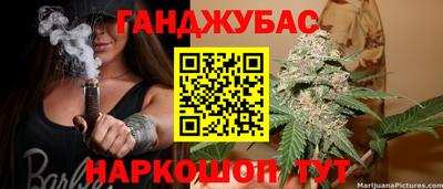 гидра Краснознаменск