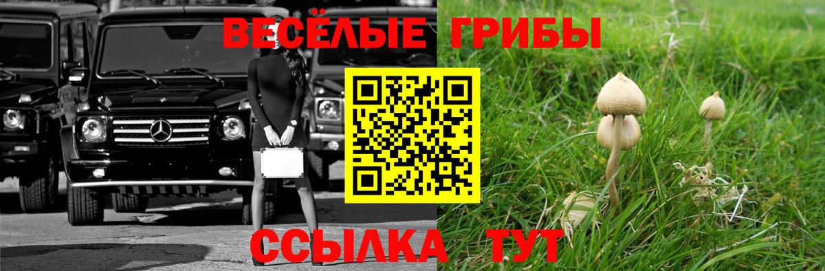 Кирово-Чепецк  Псилоцибиновые грибы ЛСД  Вход с VPN 