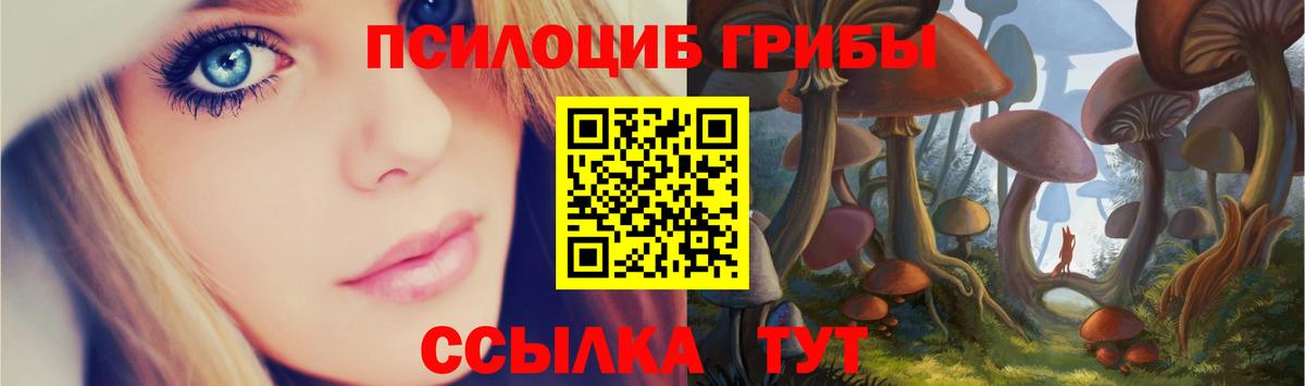 Псилоцибиновые грибы GOLDEN TEACHER Кирово-Чепецк